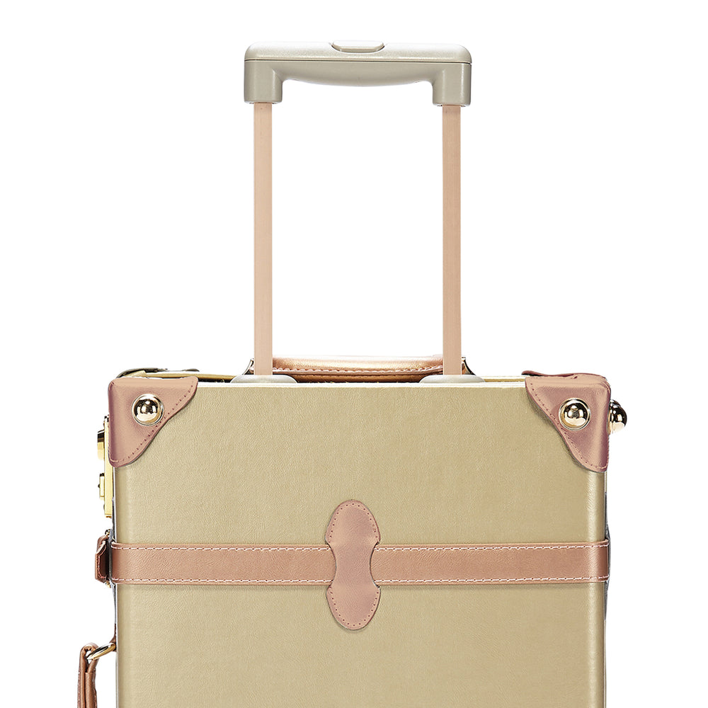 The Alchemist Carryon  Luxury Luggage Vegan Leather Carry On