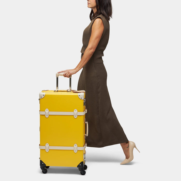 The Illustrator - Pink Check In Spinner – Steamline Luggage